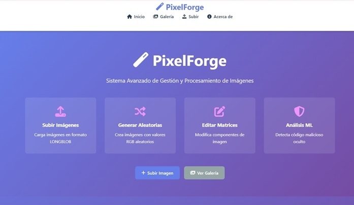 Vista previa del proyecto PixelForge